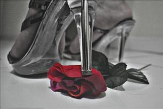 Làm gì đây khi một ngày nhận ra người ấy không yêu thật lòng