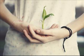 Trong 12 con giáp, ai sẽ dám vì người yêu mà thay đổi?