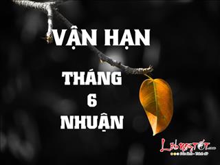 Xem bói tháng 6 nhuận: Vận hạn của 12 con giáp