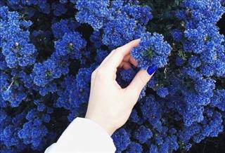 Tử vi Chủ nhật ngày 2/7/2017 của 12 con giáp