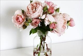 Tử vi Chủ nhật ngày 16/7/2017 của 12 con giáp