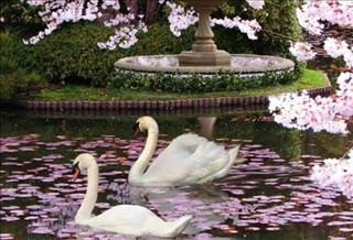 Tử vi Chủ nhật ngày 23/7/2017 của 12 con giáp