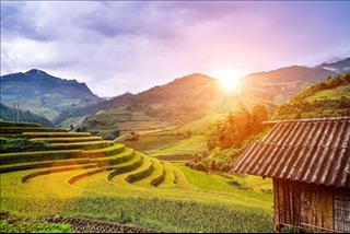 Tử vi tuần mới từ 24 - 30/7/2017 của 12 con giáp