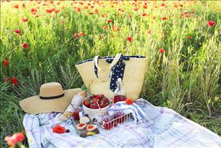 Tử vi Chủ nhật ngày 6/8/2017 của 12 con giáp