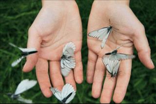 Tư duy như một chiến binh để bạn sống ý nghĩa mỗi ngày