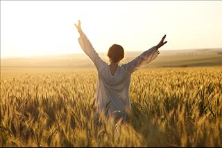 Sự nghiệp của người tuổi Tý thuộc cung Thiên Bình