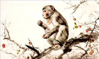 Xem tử vi cho người tuổi Thân mệnh Hỏa