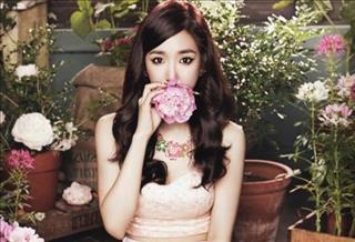 Luận giải vận số của người tuổi Dần theo tháng sinh