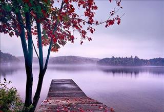 Tử vi Thứ 5 ngày 13/7/2017 của 12 con giáp