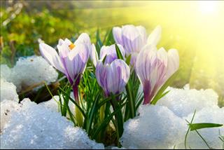 Tử vi thứ 4 ngày 23/8/2017 của 12 con giáp