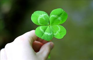 3 con giáp may mắn gặp hung hóa cát nửa cuối tháng 8/2017