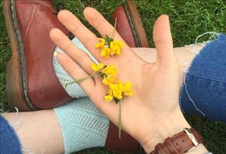 Tử vi Chủ nhật ngày 13/8/2017 của 12 con giáp