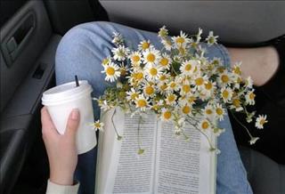 Tử vi Thứ 5 ngày 10/8/2017 của 12 con giáp