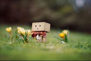 Tử vi thứ 7 ngày 5/8/2017 của 12 cung hoàng đạo