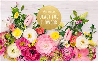 Tử vi thứ 3 ngày 8/8/2017 của 12 cung hoàng đạo