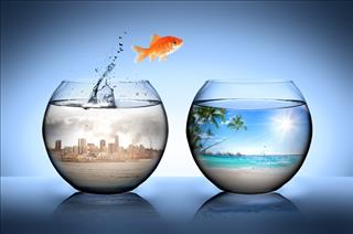 Tử vi thứ 4 ngày 16/8/2017 của 12 con giáp