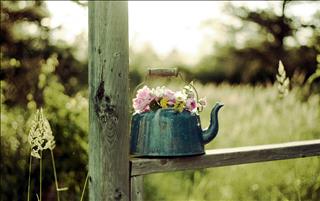 Tử vi thứ 3 ngày 12/9/2017 của 12 cung hoàng đạo