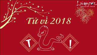 Tử vi tuổi Tỵ năm Mậu Tuất 2018: Vượng vận quý nhân