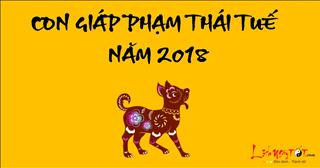 Năm 2018 con giáp nào phạm Thái Tuế, hóa giải hung vận ra sao?