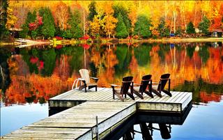 Tử vi thứ 3 ngày 19/9/2017 của 12 cung hoàng đạo