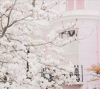 Tử vi tháng 2/2018 của 12 cung hoàng đạo: Kim Ngưu đương đầu thách thức, Ma Kết vượt lên chính mình