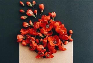 Tử vi Thứ 5 ngày 1/2/2018 của 12 con giáp