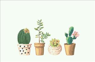 Tử vi Chủ Nhật ngày 21/1/2018 của 12 cung hoàng đạo