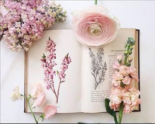 Tử vi tuần mới của 12 cung hoàng đạo (Tuần từ 29/1 - 4/2/2018)