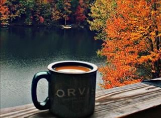 Tử vi Chủ nhật ngày 11/2/2018 của 12 con giáp