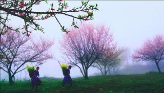 Tử vi thứ 7 ngày 27/1/2018 của 12 cung hoàng đạo