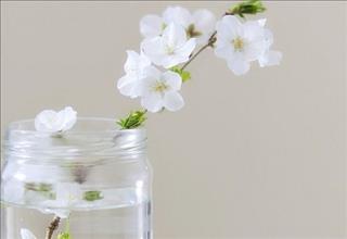 Tử vi Chủ nhật ngày 18/2/2018 của 12 con giáp