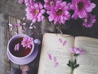 Tử vi ngày 13/1/2018 thứ 7 của 12 con giáp