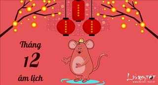 Tử vi tuổi Tý tháng 12 năm 2017 âm lịch: Đại cát đại lợi, hỷ khí dồi dào