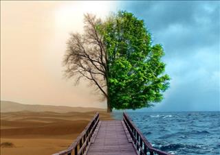 Cảnh báo 3 con giáp có vận trình biến động trong năm 2018