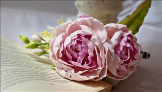 Tử vi thứ 2 ngày 15/1/2018 của 12 con giáp