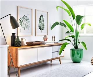 Những NGƯỜI MỆNH KHUYẾT MỘC không biết điều này sẽ hối hận