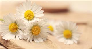 Tử vi Chủ nhật ngày 21/10/2018 của 12 con giáp: Hợi xung khắc, Tuất tài lộc dồi dào