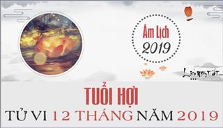 Tử vi tuổi Hợi 2019 - Xem chi tiết tử vi hàng tháng trong năm Kỷ Hợi