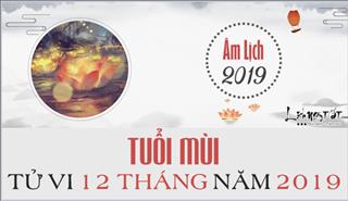 Tử vi tuổi Mùi 2019 - Luận giải hung cát tử vi hàng tháng trong năm Kỷ Hợi