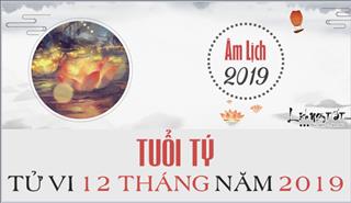Tử vi tuổi Tý 2019 - Chi tiết tử vi hàng tháng âm lịch năm Kỷ Hợi 2019