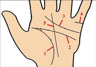 Xem chỉ tay: Xem đường Trí Tuệ trong lòng bàn tay