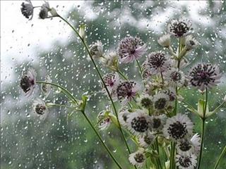 Dự báo thời tiết hôm nay 22/10: Hà Nội ngày nắng chiều tối mưa