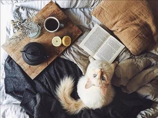 Tử vi thứ 7 ngày 27/10/2018 của 12 con giáp: Tý cố gắng vô ích, Thìn gặp họa