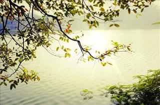 Dự báo thời tiết hôm nay 3/10: Hà Nội ngày nắng, đêm và sáng trời lạnh