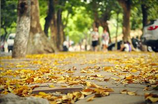 Dự báo thời tiết tháng 10/2018 trên toàn quốc: Miền Bắc đón 3-4 đợt không khí lạnh