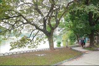 Dự báo thời tiết hôm nay 24/10: Hà Nội nhiều mây, không mưa