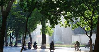 Dự báo thời tiết ngày mai 24/10: Tây Bắc mưa dông rải rác