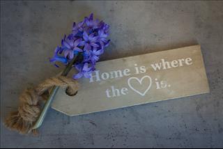 Tử vi thứ 2 ngày 29/10/2018 của 12 con giáp: Mùi hạnh phúc, Thân nhẫn nhịn