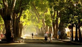 Dự báo thời tiết Hà Nội ngày mai 26/10: Ngày nắng, chiều tối có mưa dông