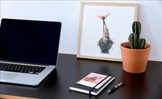 "Truy tìm" điểm sinh tài sinh lộc trên bàn làm việc